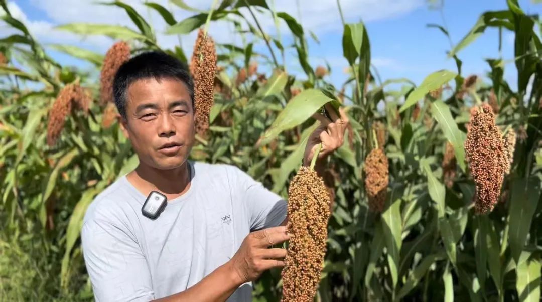 斗牛游戏大平台